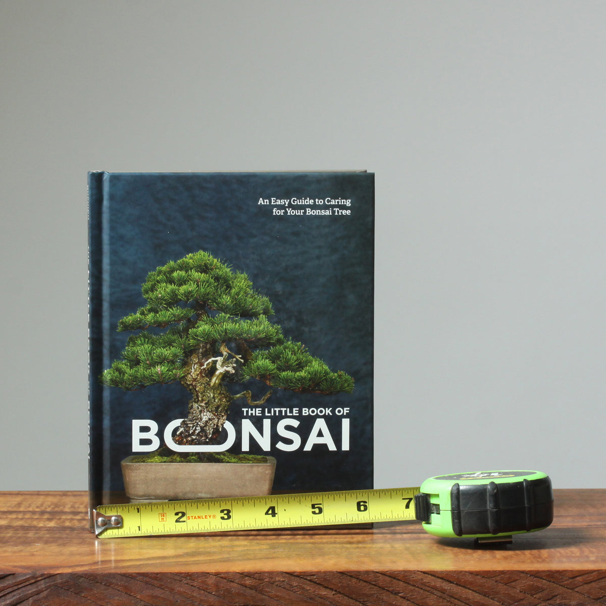 Bonsai Basics Kit: Make an Indoor Bonsai Tree! – Bonsaify
