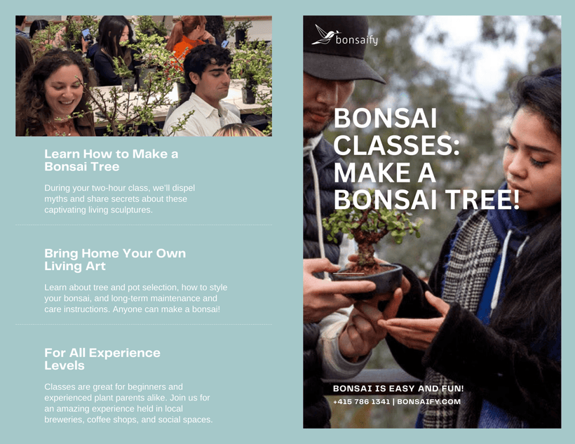 Bonsai Classes in Northern California