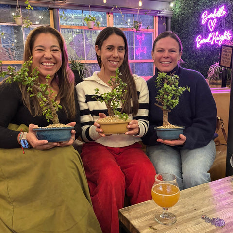 Bonsai Classes at Barebottle Brewing Co. - Bonsaify