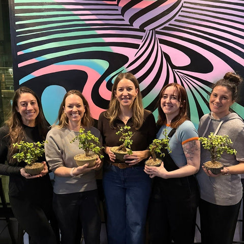 Bonsai Classes at Olfactory Brewing - Bonsaify