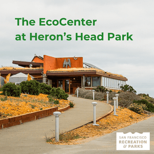 Bonsai Classes at the Ecocenter at Heron's Head Park - Bonsaify