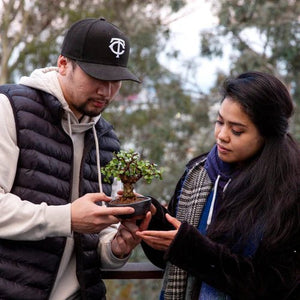 Bonsai Classes in San Francisco - Bonsaify